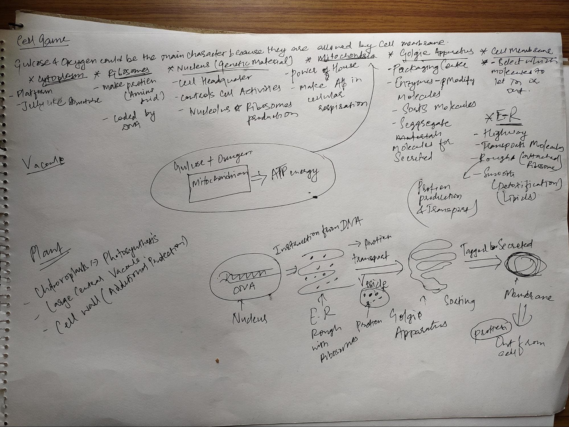 Cell Game Paper Prototyping 1