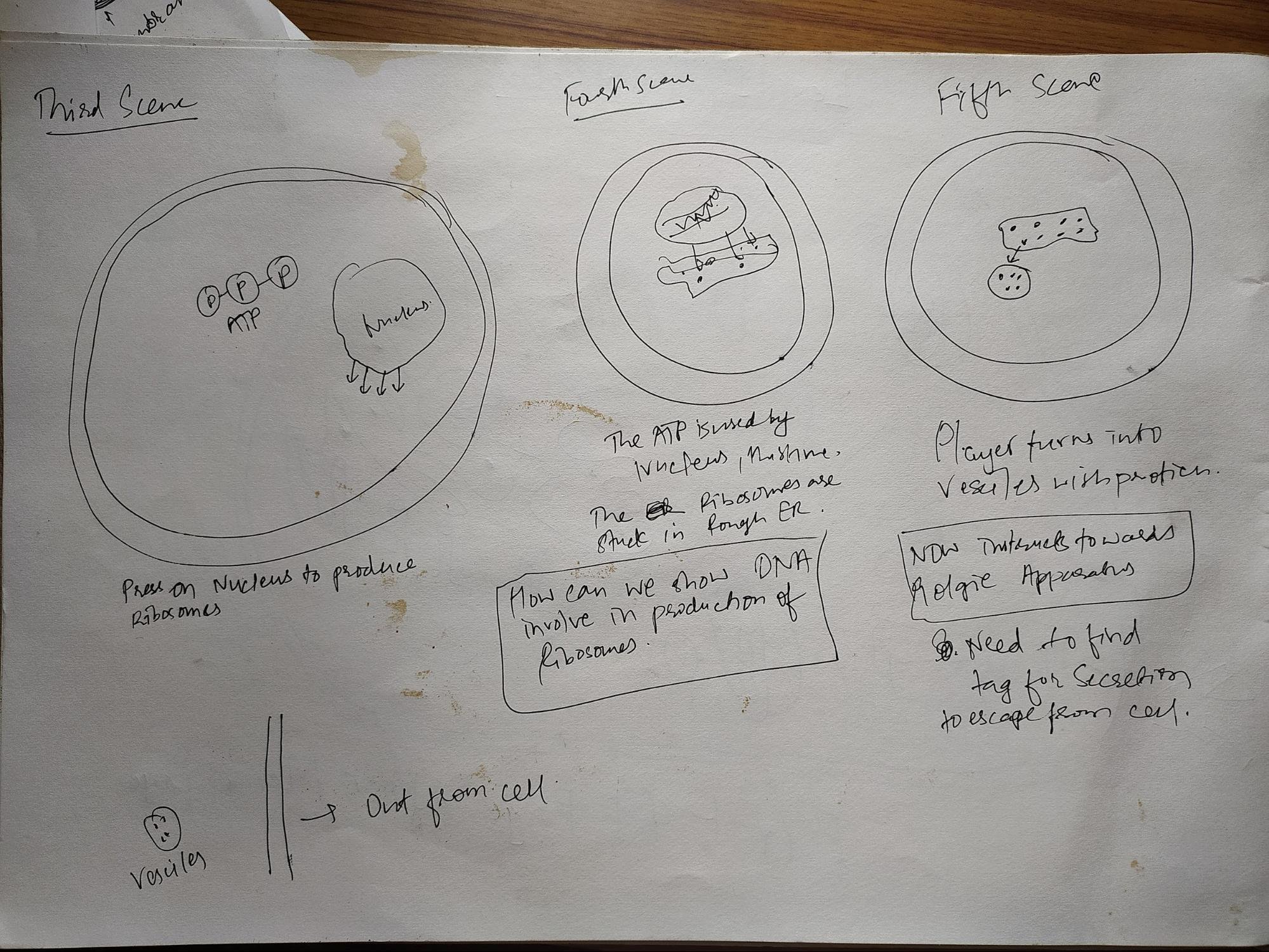 Cell Game Paper Prototyping 2